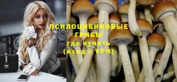 гидропоника Белокуриха