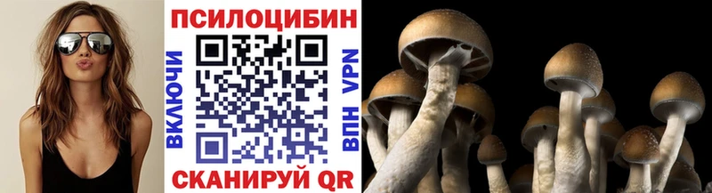 купить наркотик  Шенкурск  Псилоцибиновые грибы прущие грибы 